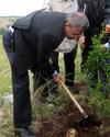 Human rights activist Mustafa Barghouti planting.