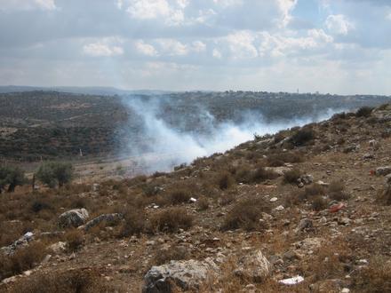 Clouds of tear gas