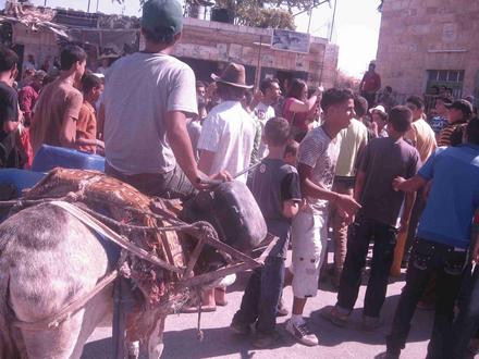 The donkey mobilized to carry water 